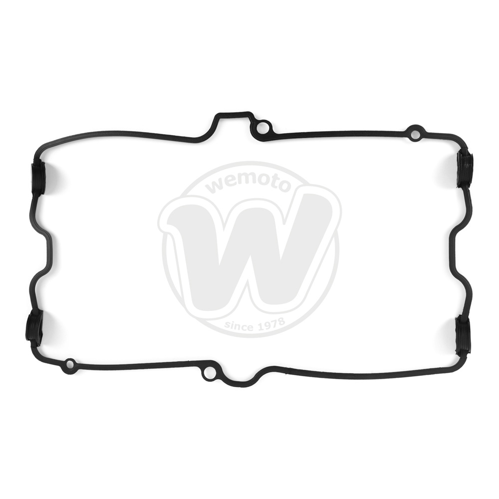 Guarnizione Tenuta Bilanciere